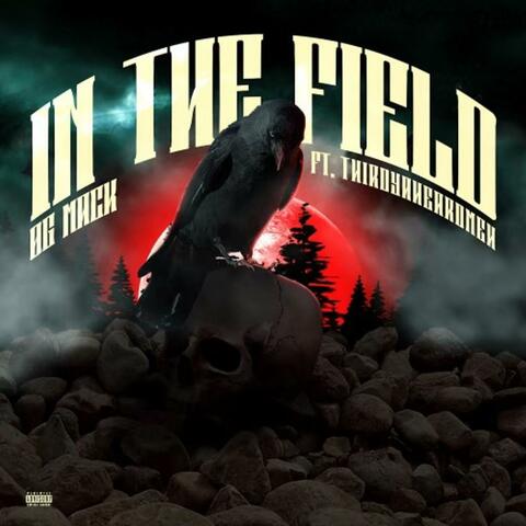 In The Field (feat. Thirdyaheardmeh)