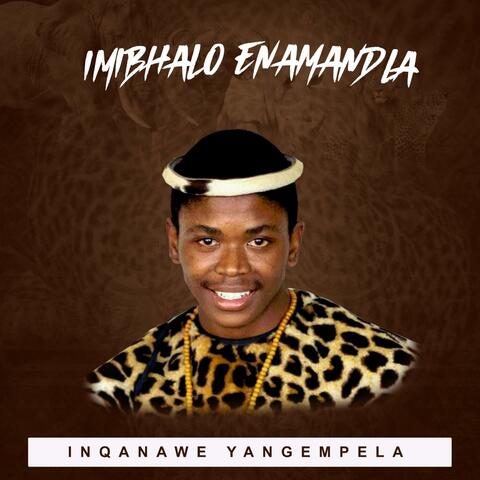 Izindaba Zomjolo (feat. Nana X DloziPhila & Sah)