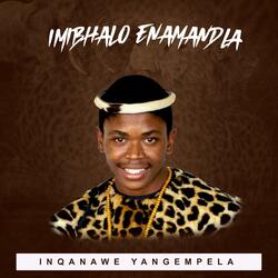Nangaphansi Kwesifonyo