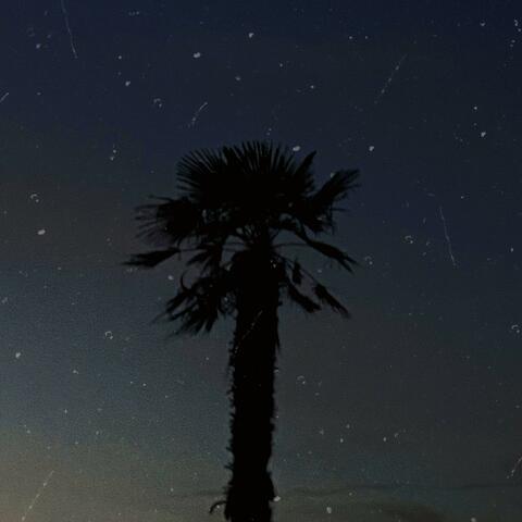 Buona Notte