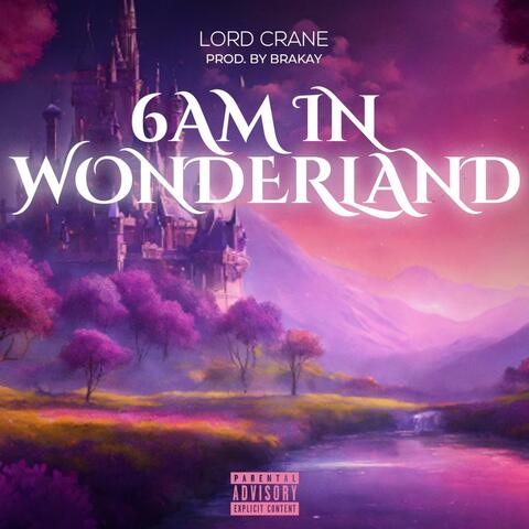 6AM IN WONDERLAND