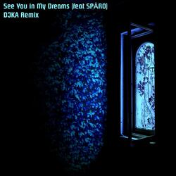 See You in My Dreams (feat. SPĀRO)