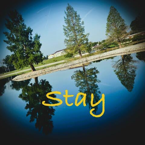 stay