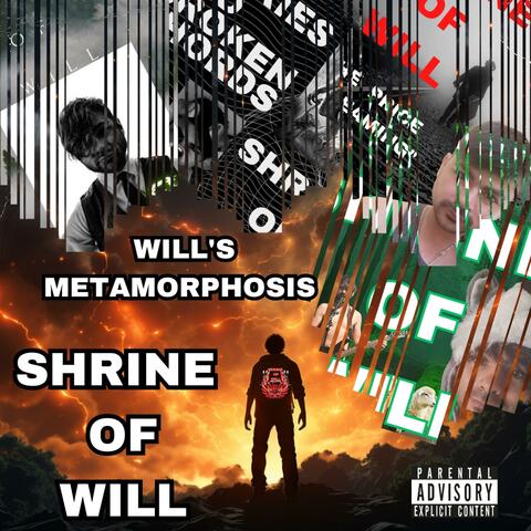Will's Metamorphosis