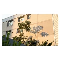 저녁의 그림자 (feat. 네모사진)