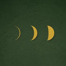 The Sun Will Lead You Home Again