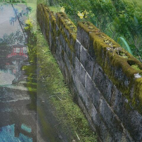 Even the rocks