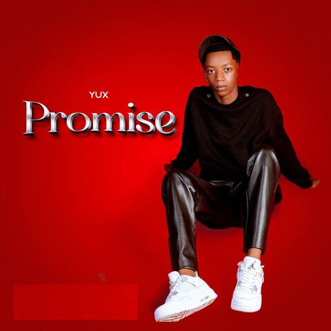 Promise