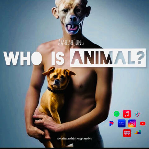 Who is ANIMAL?