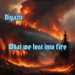 What we lost into fire