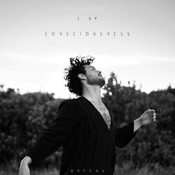 I Am Consciousness