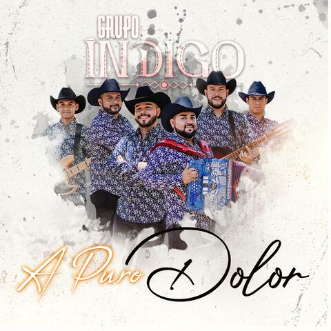 A Puro Dolor