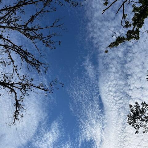 Clouds Above