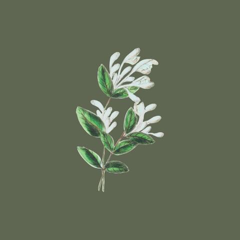 Flowers Next To U