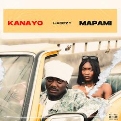 Mapami