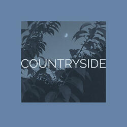 Countryside