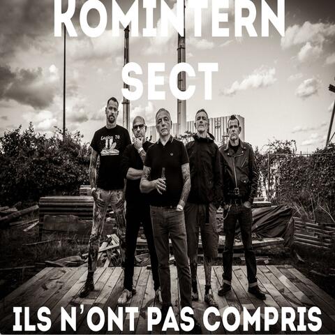 Ils n'ont pas compris