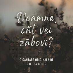 Doamne, cât vei zăbovi?