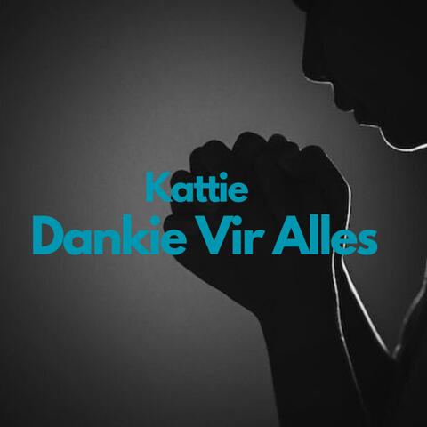 Dankie Vir Alles