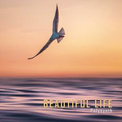 Beautiful Life