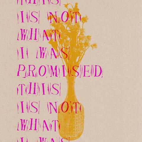 This Is Not What I Was Promised