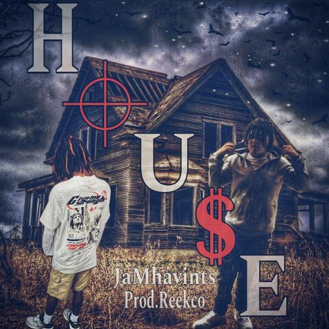 House/Lazerdim700 Flow