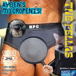 Ayden's Micropenis