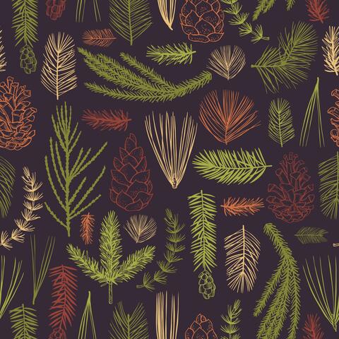 The Forest Floor (feat. Michael Shynes)
