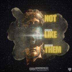 Not Like Them (feat. 33STATIC)