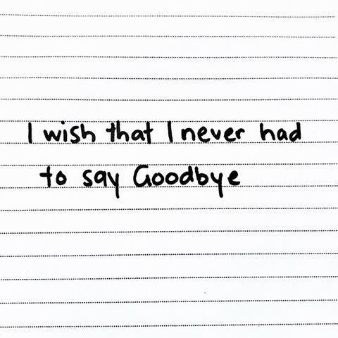 I Wish That I Never Had To Say Goodbye