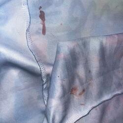 BLOOD ON MY CLOTHES (feat. LouiseCipher)