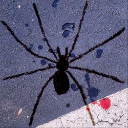 RECLUSE