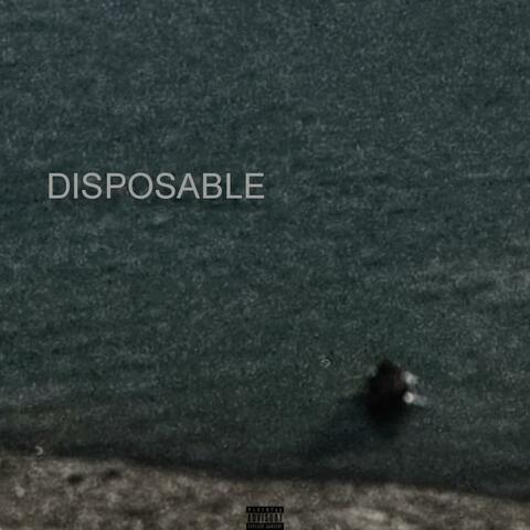 DISPOSABLE