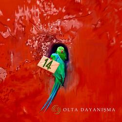 Sesinde Gözyaşı Var