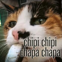 chipi chipi chapa chapa XIV