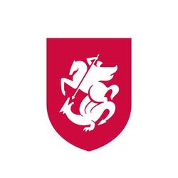 WE ARE GEORGIA (Football Team)