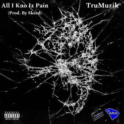 All I Kno Iz Pain