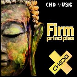 FIRM PRINCIPLES