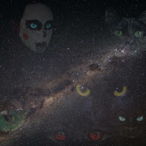 Here Kitty Kitty