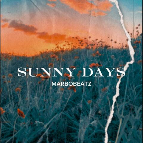 Sunny Days