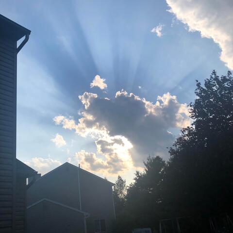 Sunshine