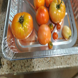 The potter girl ah sea shanty