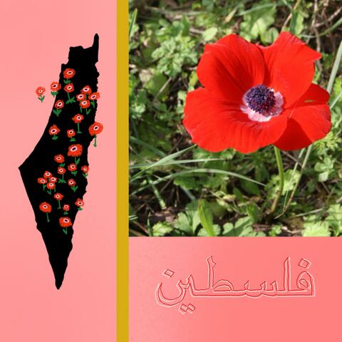 Free Palestine (Gxnocidx is not Second-Screen Enough)