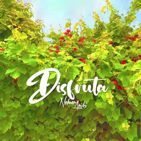 Disfruta