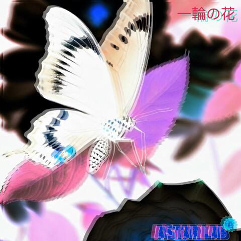 One flower split into two (一つの花が二つに分かれた) (from Bleach)