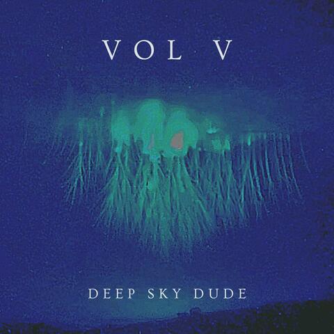 Vol V