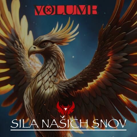 SILA NAŠICH SNOV