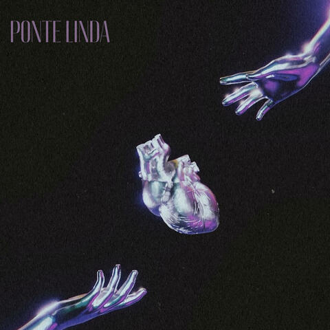 PONTE LINDA