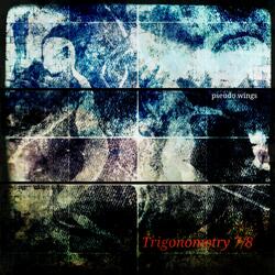 Trigonometry7/8