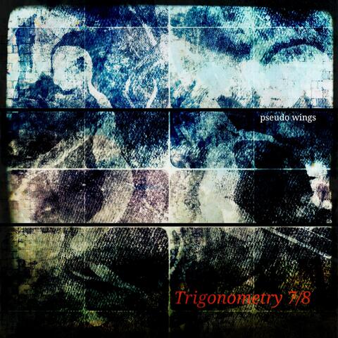 Trigonometry7/8